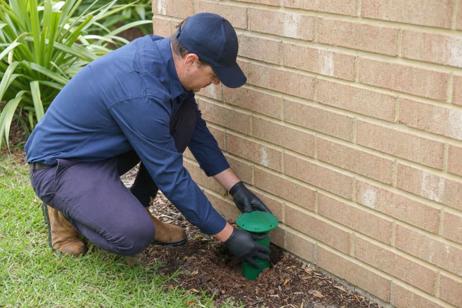 Technician setting a bait station beside a brick foundation